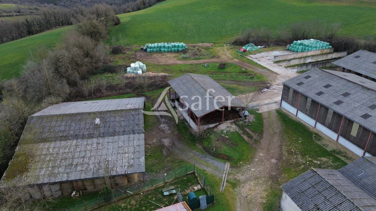 Explotaci&oacute;n ovina En venta Tarn