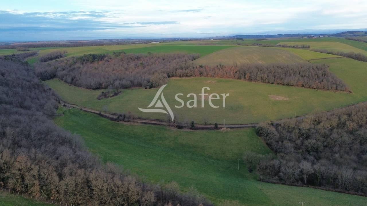 Explotaci&oacute;n ovina En venta Tarn