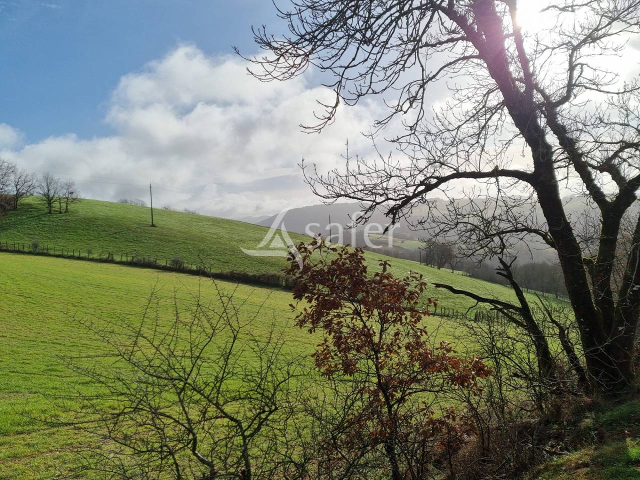 Explotaci&oacute;n ovina En venta Tarn