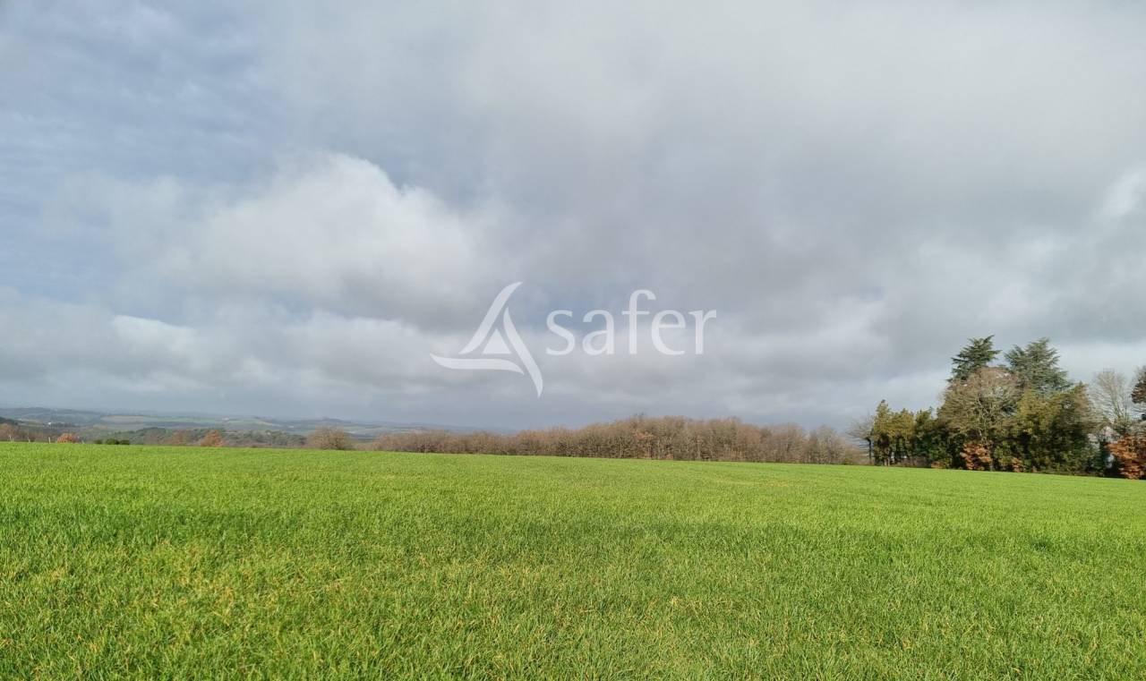 Explotaci&oacute;n ovina En venta Tarn