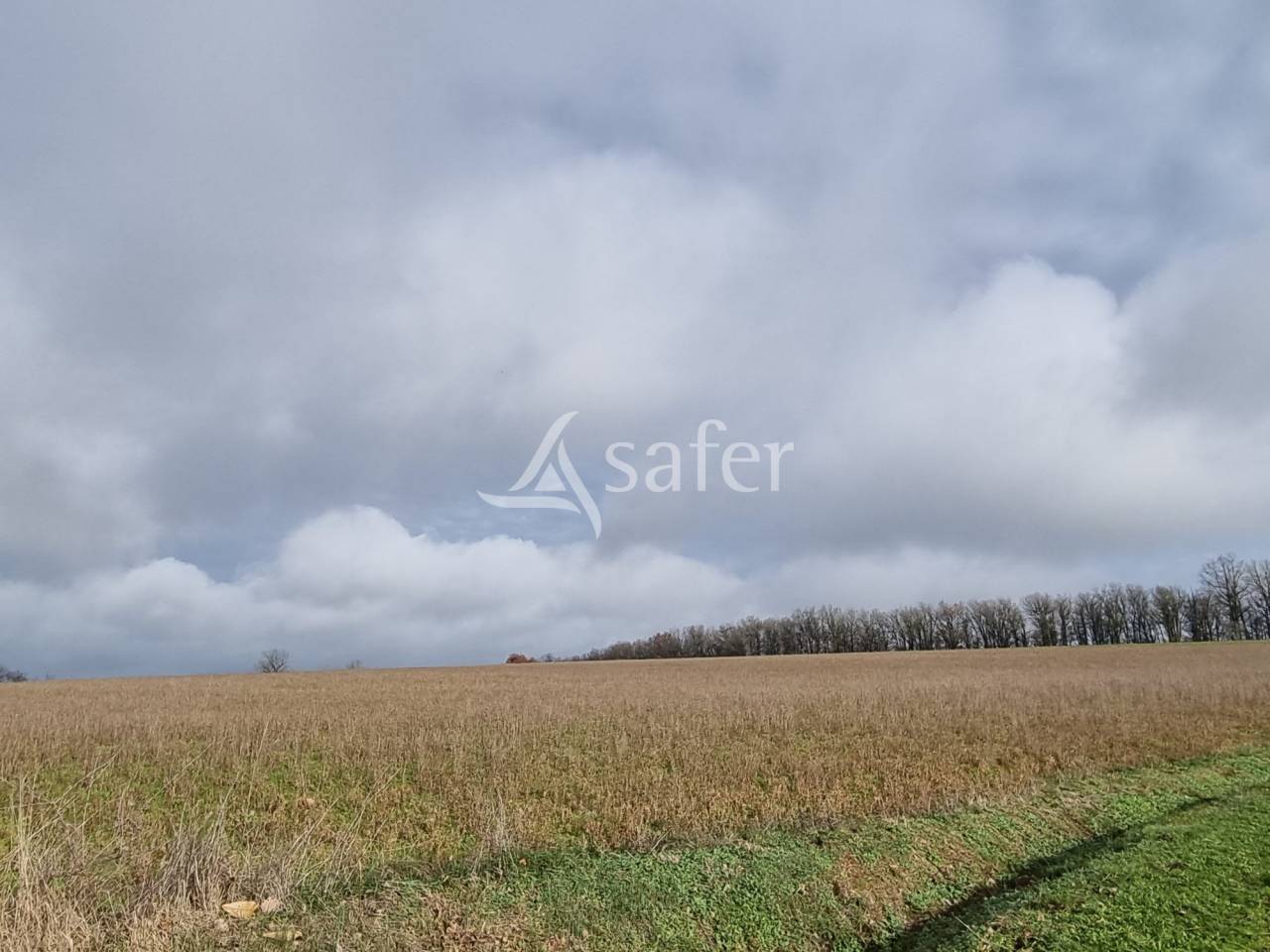 Explotaci&oacute;n ovina En venta Tarn