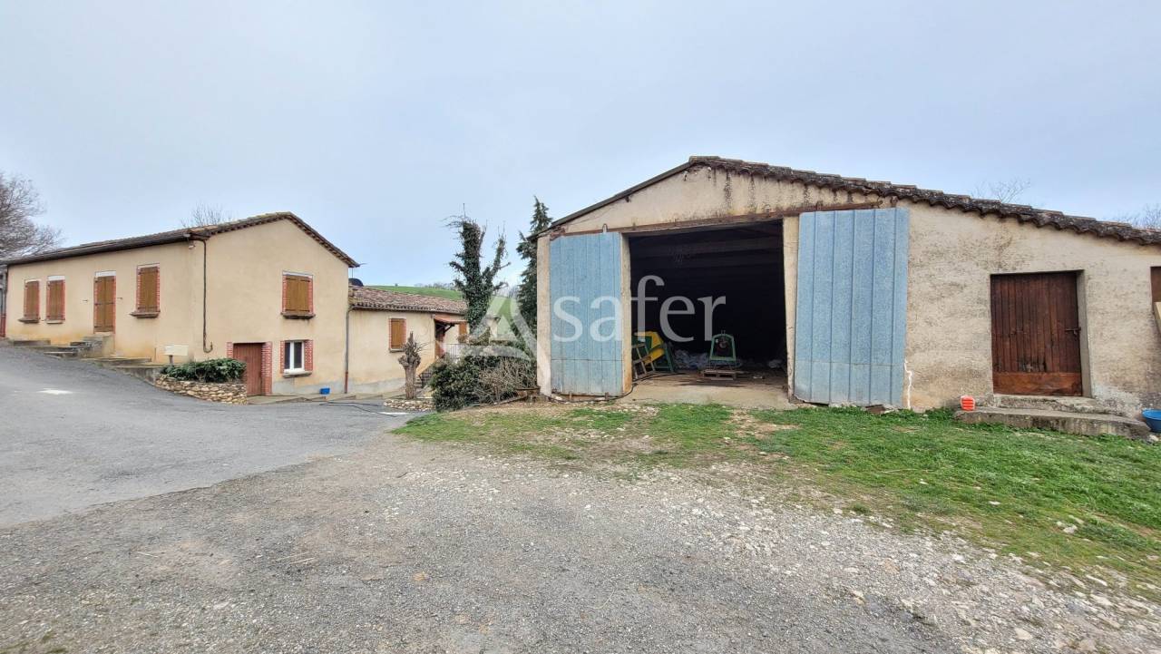 Explotaci&oacute;n ovina En venta Tarn