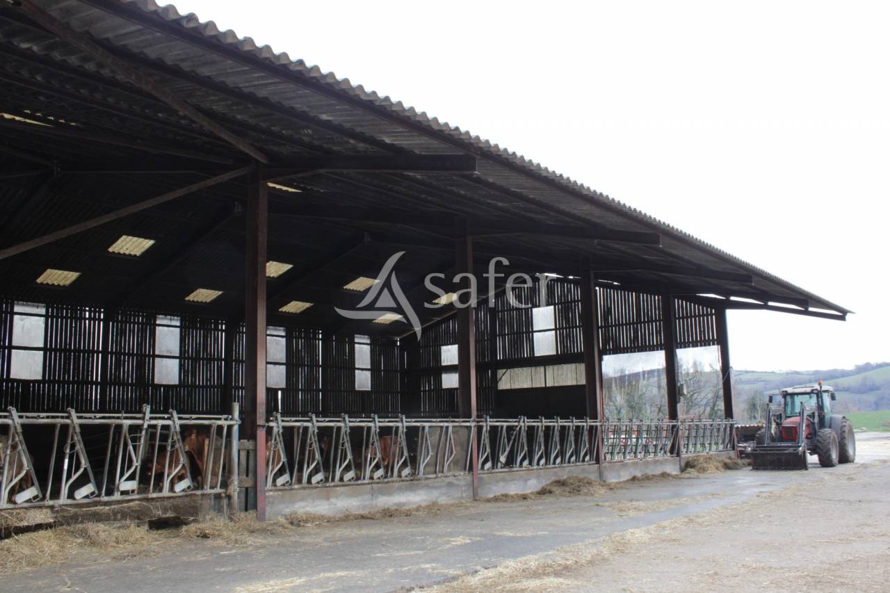 Explotaci&oacute;n ovina En venta Tarn