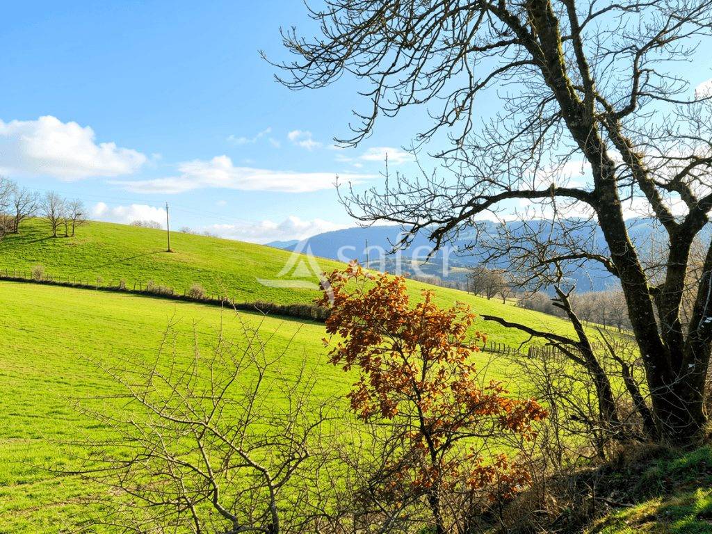 Explotaci&oacute;n ovina En venta Tarn