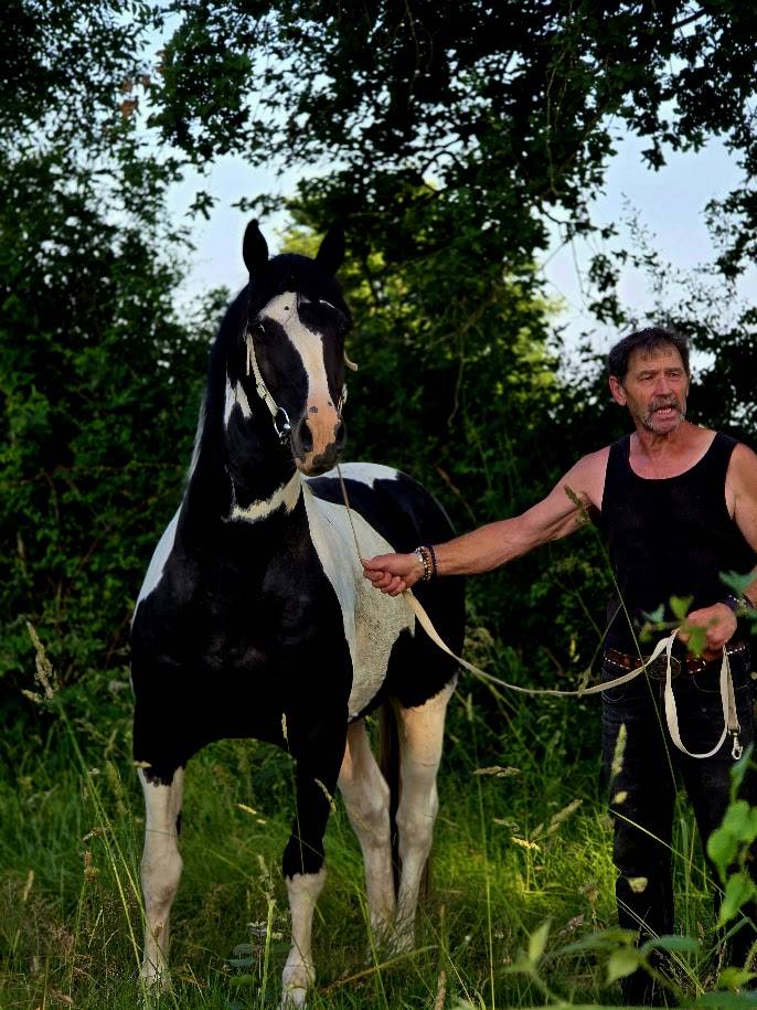 BLACK AND VHITEDEVAL - Origine Constat&eacute;e 2011