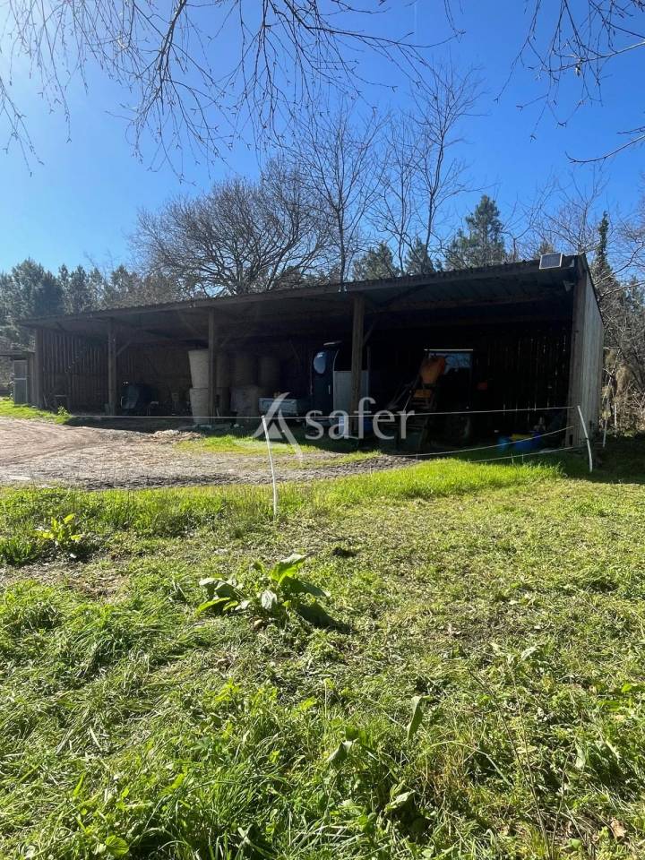 Propiedad rural En venta Gironda