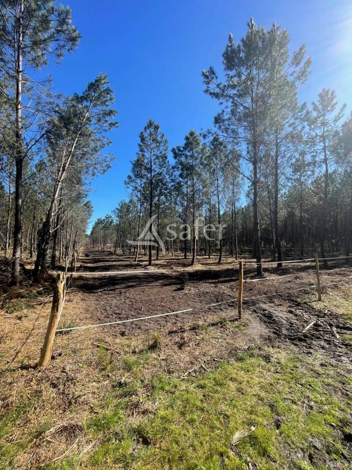 Propiedad rural En venta Gironda