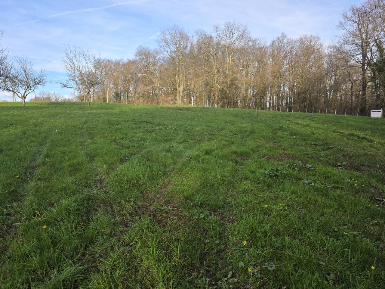 Propiedad ecuestre En venta Charente Mar&iacute;timo