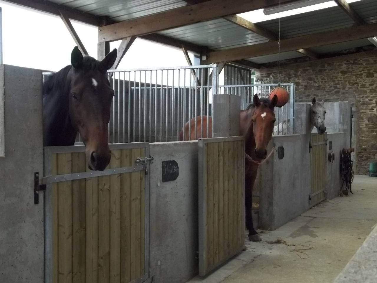 Cuadra de propietarios En venta Ile y Vilaine