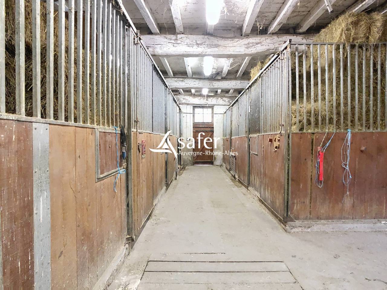 Propiedad ecuestre En venta R&oacute;dano