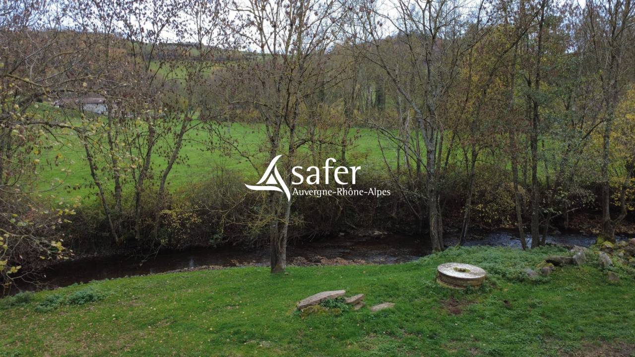 Propiedad ecuestre En venta R&oacute;dano