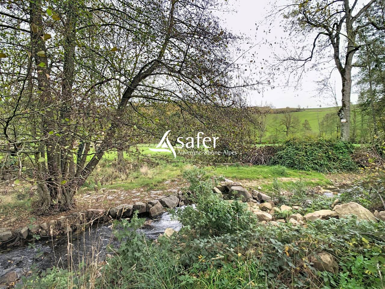 Propiedad ecuestre En venta R&oacute;dano