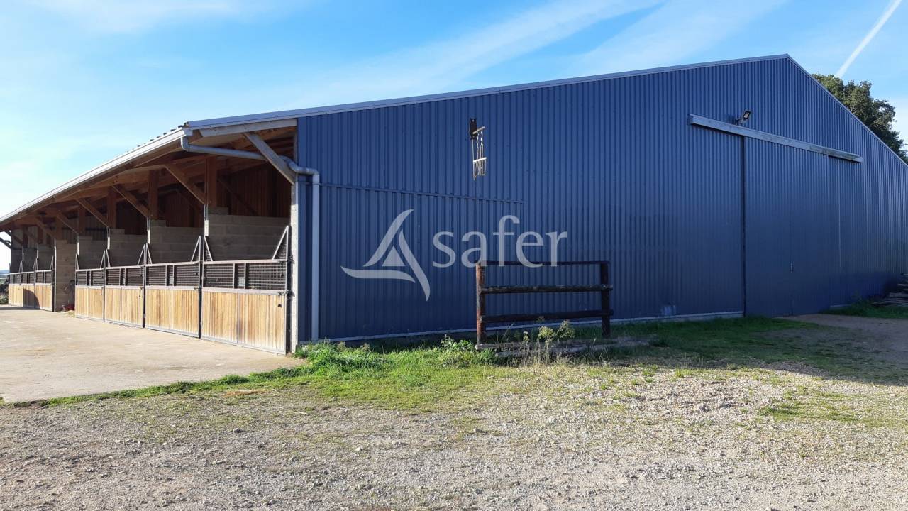 Propiedad ecuestre En venta Mayenne
