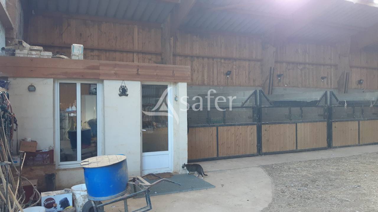 Propiedad ecuestre En venta Mayenne