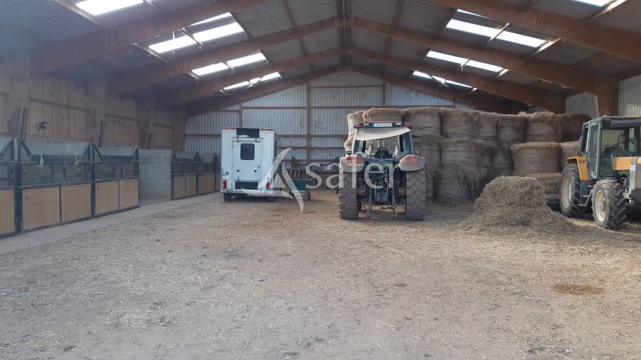 Propiedad ecuestre En venta Mayenne