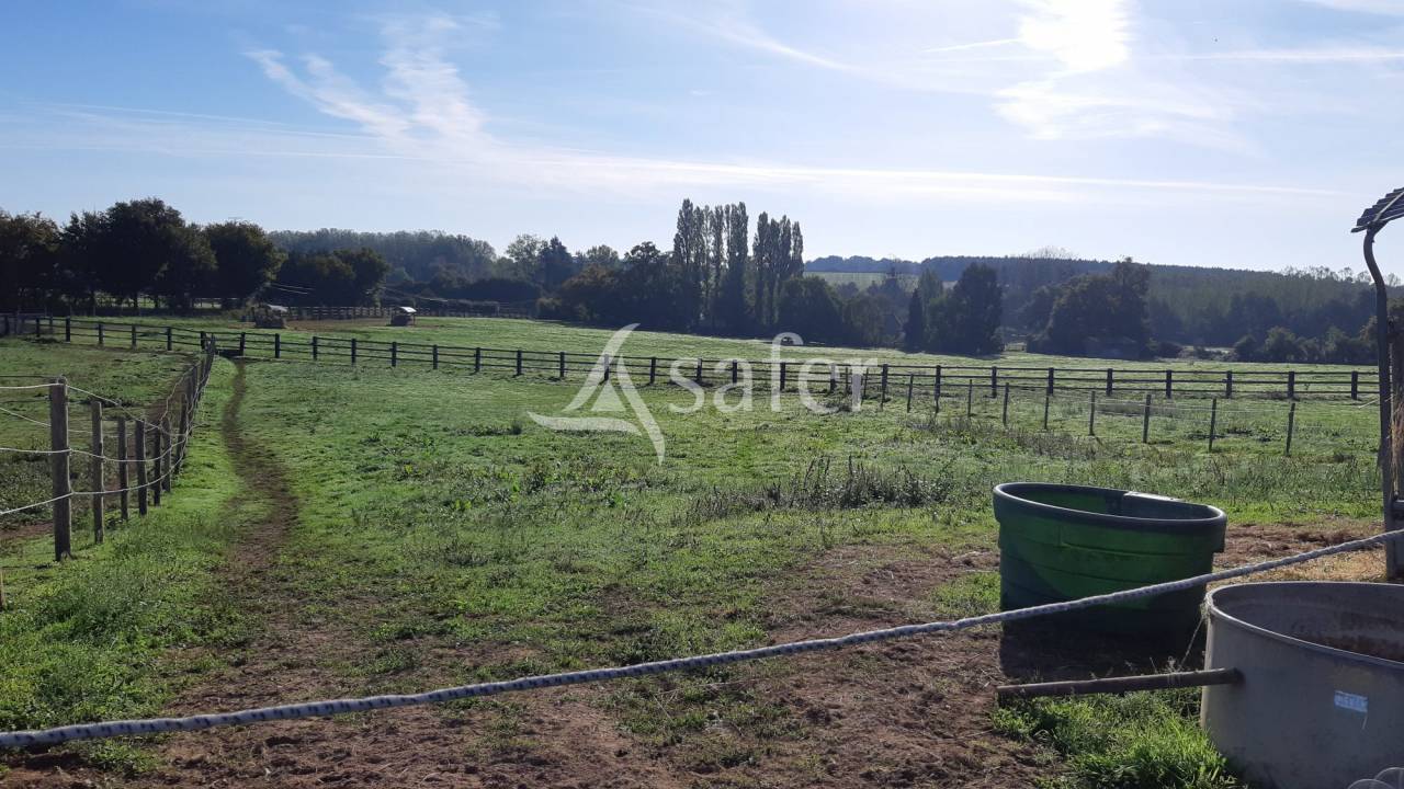 Propiedad ecuestre En venta Mayenne