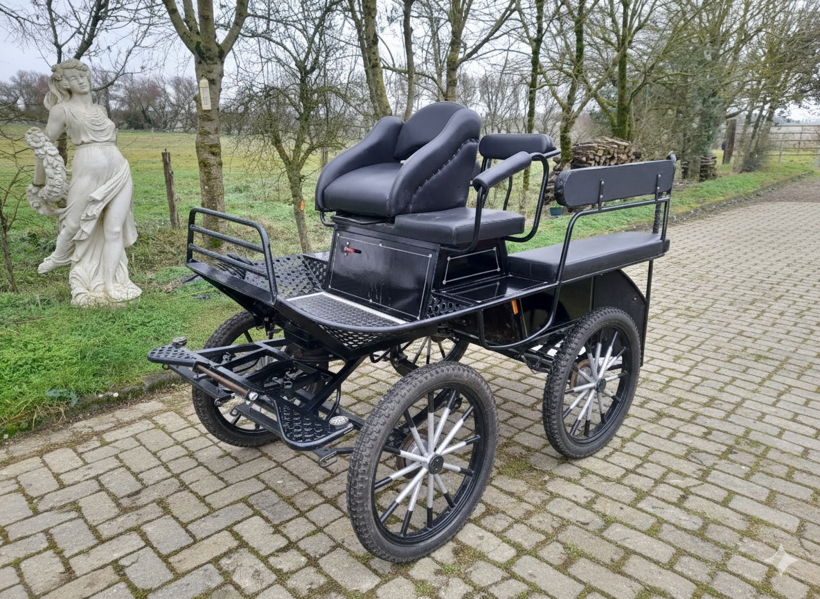 Coche enganches - Marat&oacute;n ocio - Otra marca -  