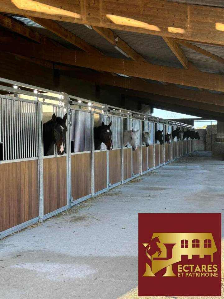 Cuadra de propietarios En venta Saona y Loira