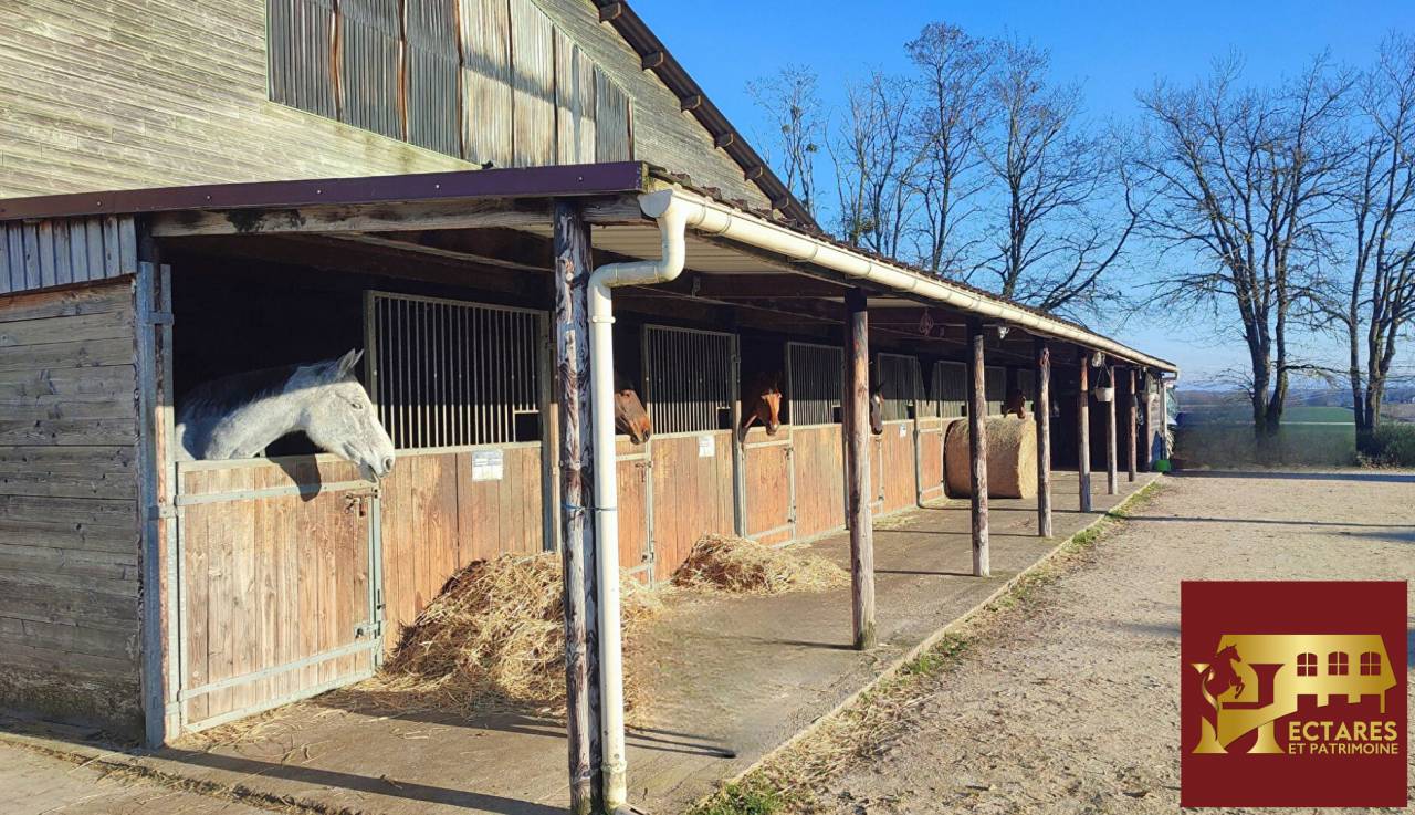 Cuadra de propietarios En venta Saona y Loira