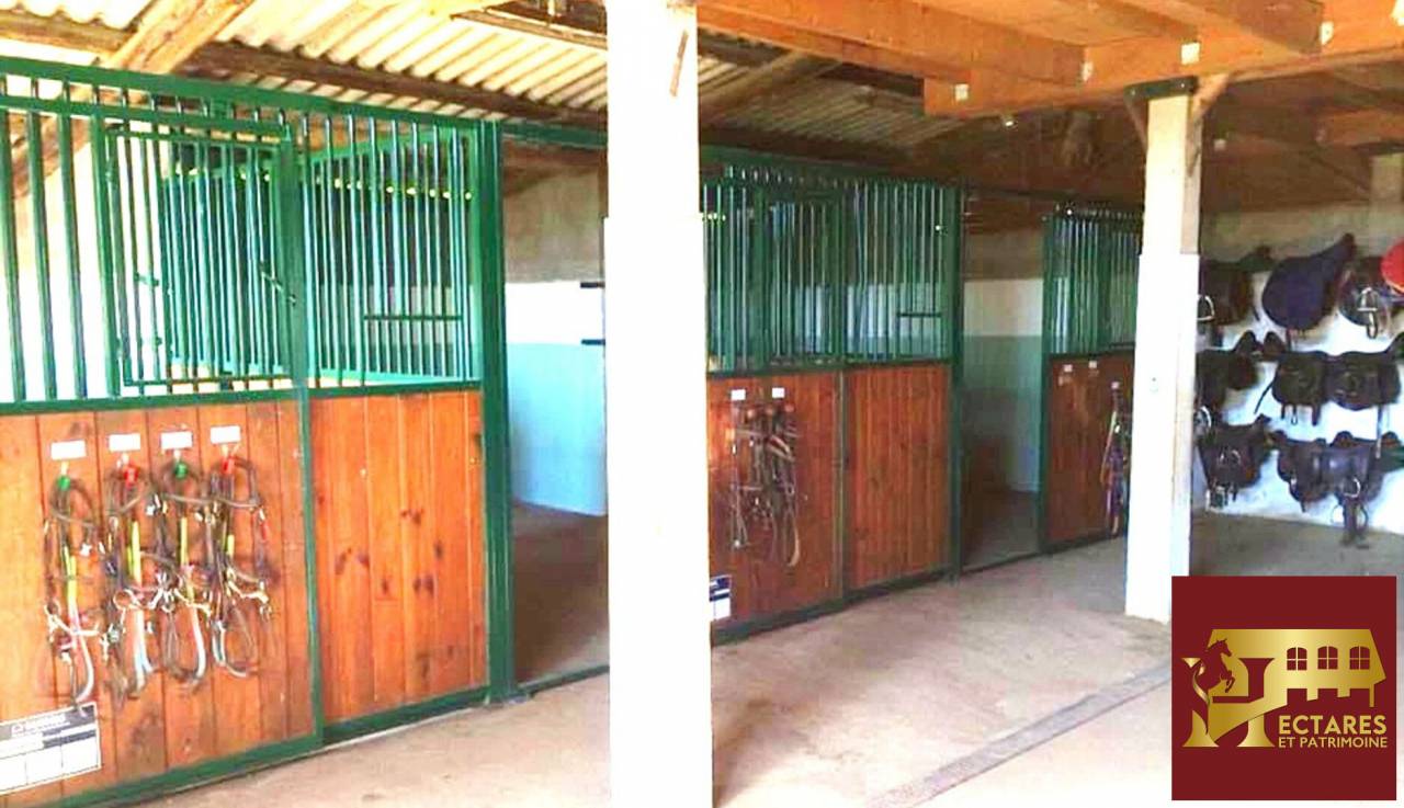 Cuadra de propietarios En venta Saona y Loira