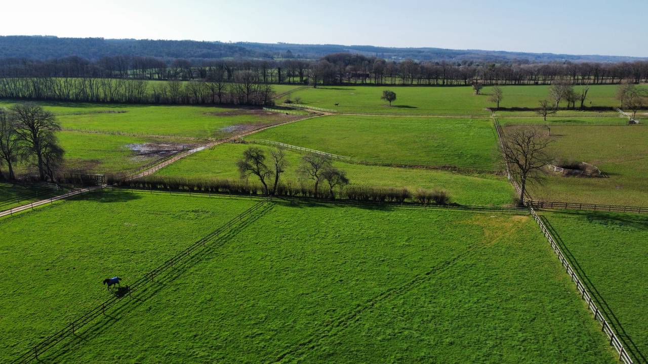 Acaballadero En venta Orne