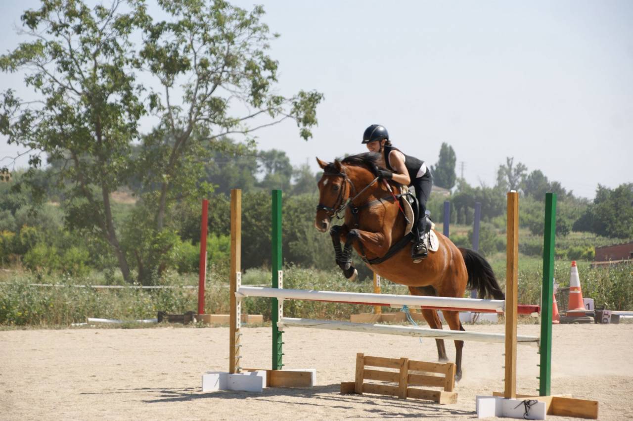 Yegua - 8 a&ntilde;os