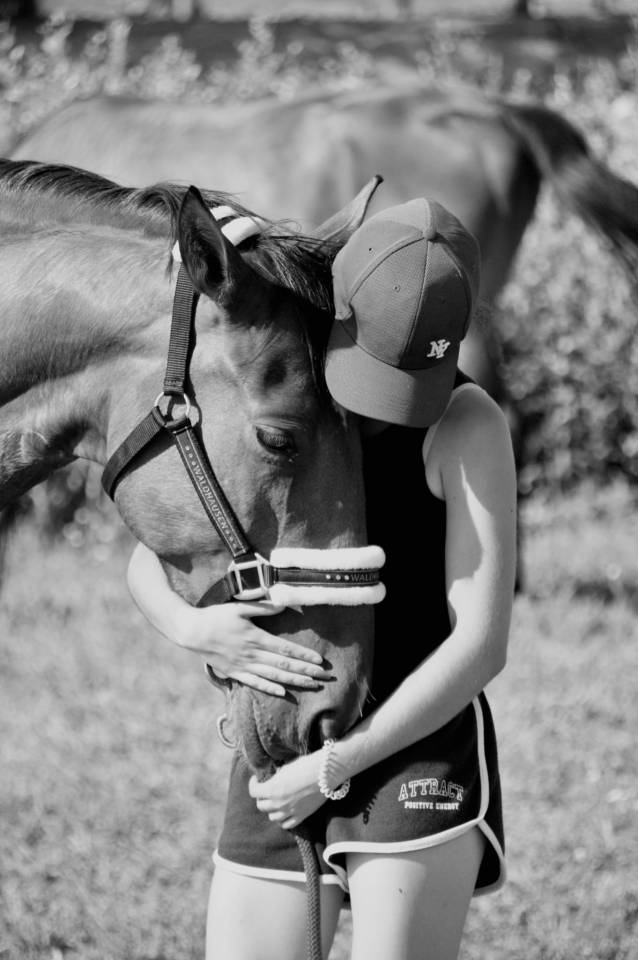 Yegua - 8 a&ntilde;os