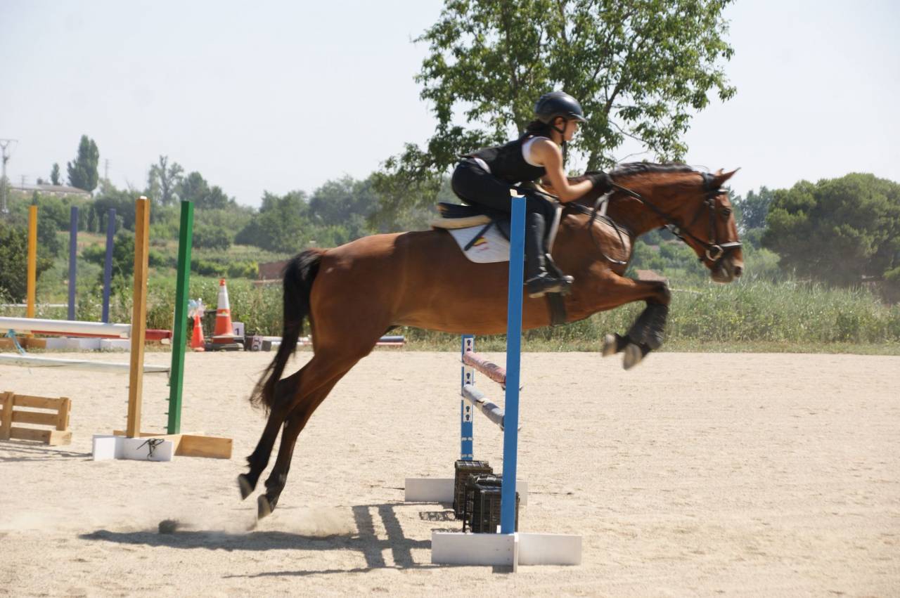 Yegua - 8 a&ntilde;os