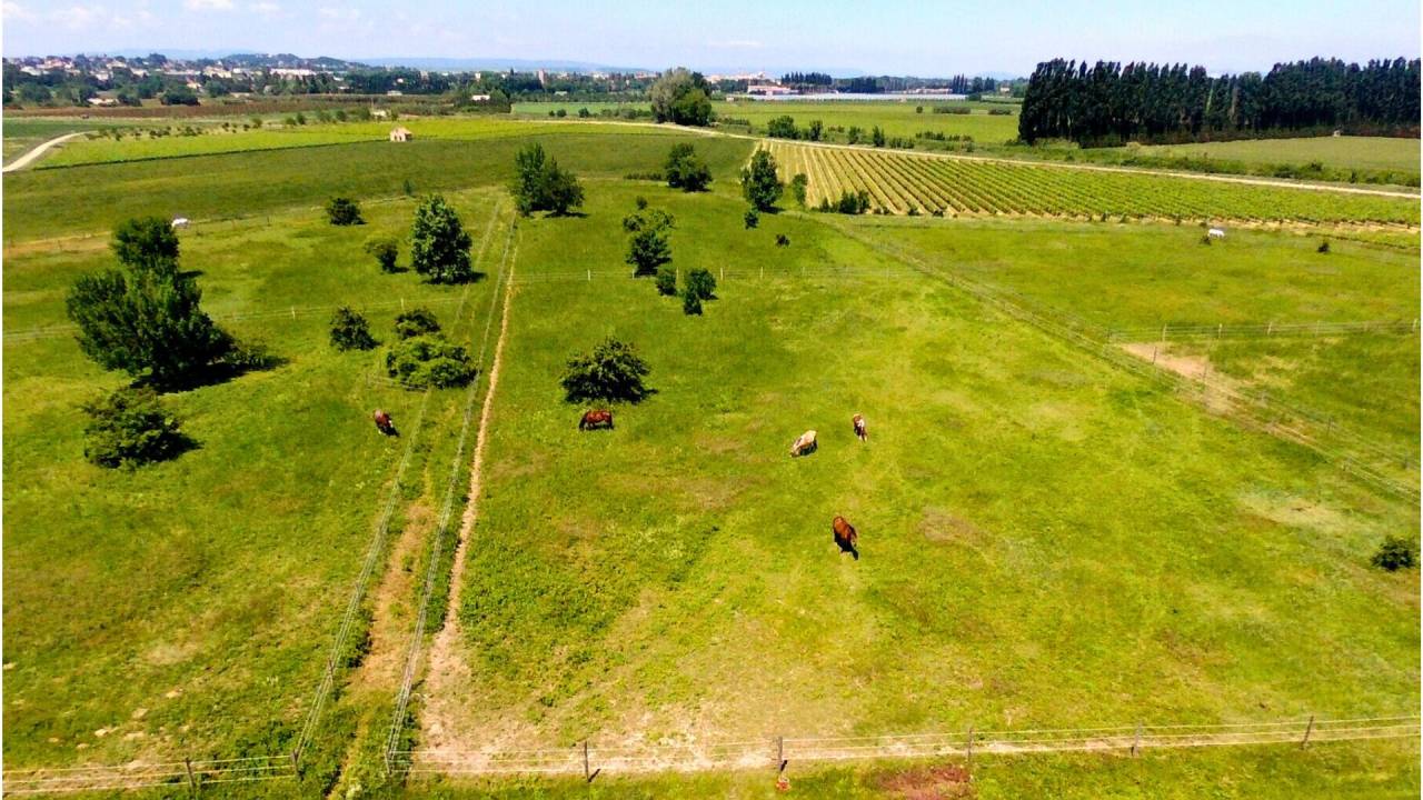 Propiedad ecuestre En venta Gard