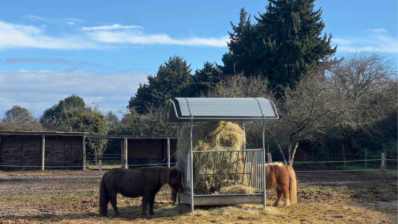 Propiedad ecuestre En venta Gard