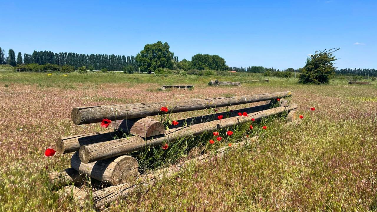 Propiedad ecuestre En venta Gard