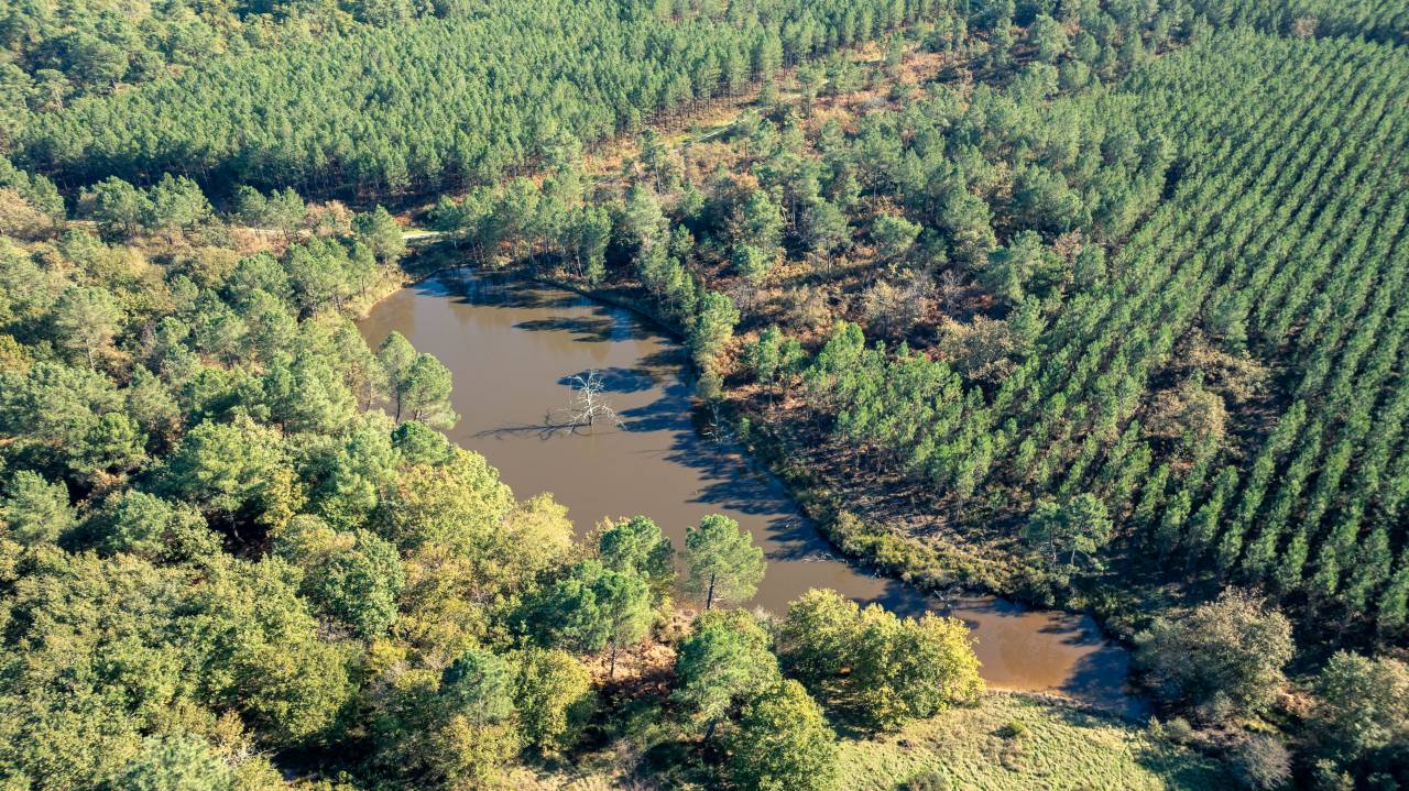 Propiedad ecuestre En venta Charente