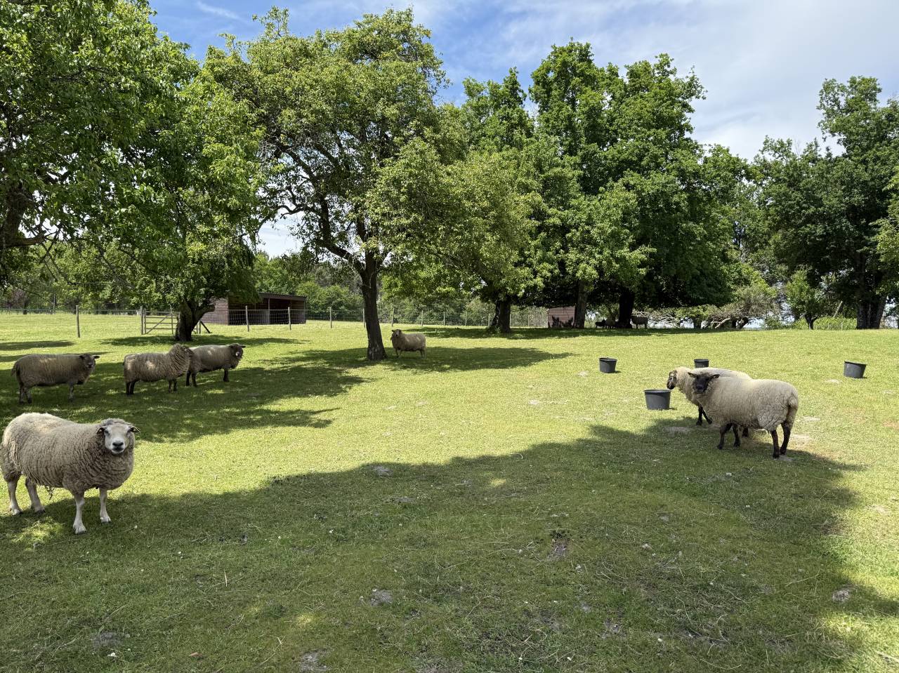 Propiedad ecuestre En venta Charente