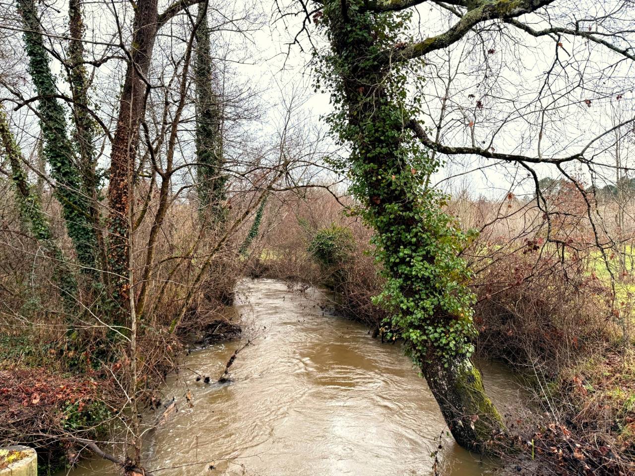 Propiedad ecuestre En venta Charente Mar&iacute;timo