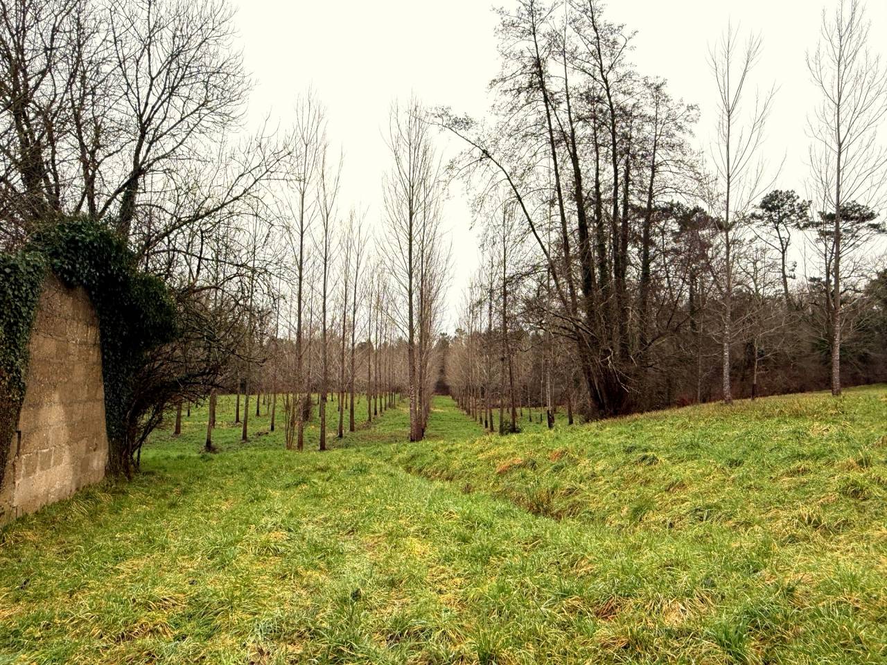 Propiedad ecuestre En venta Charente Mar&iacute;timo