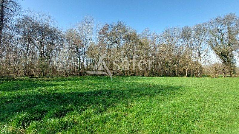 Explotaci&oacute;n ovina En venta Gironda