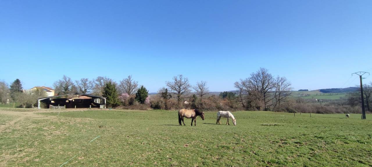 Cuadra de propietarios En venta Allier