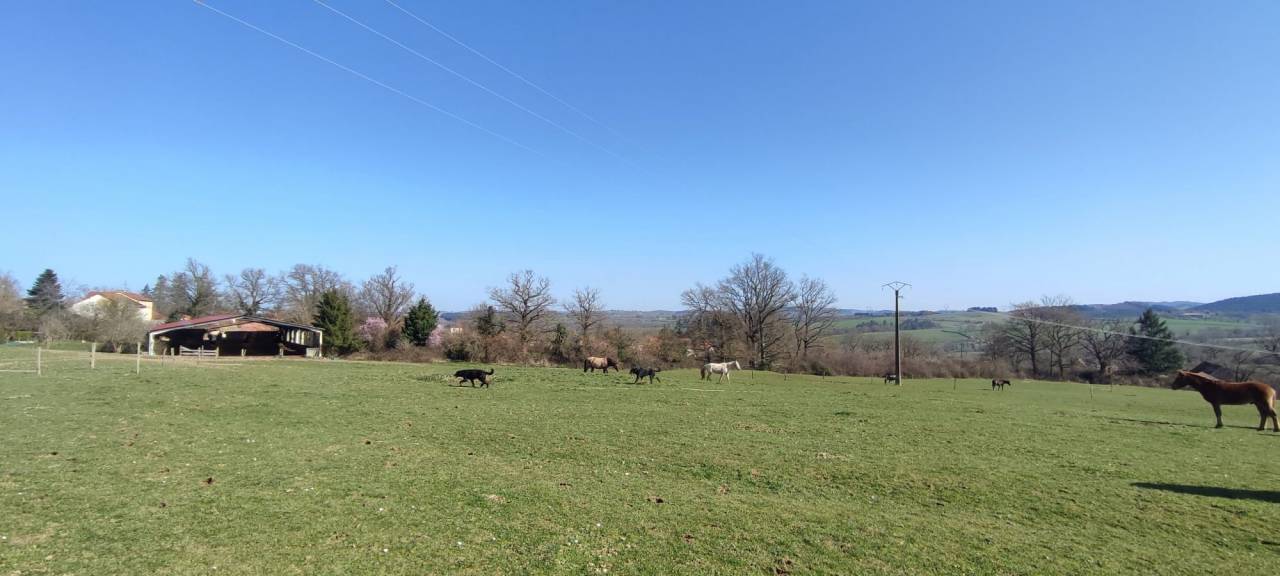 Cuadra de propietarios En venta Allier