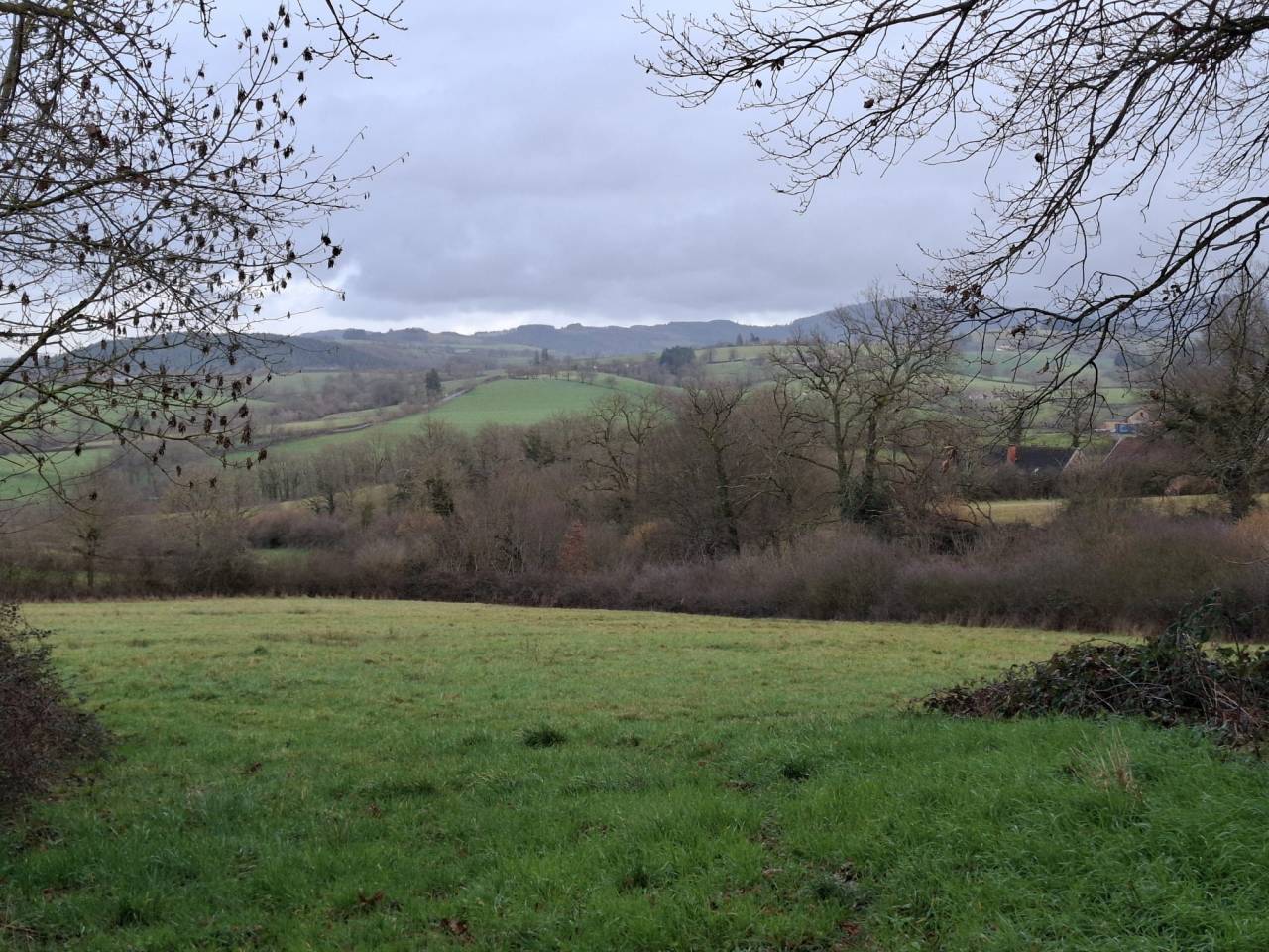 Cuadra de propietarios En venta Allier