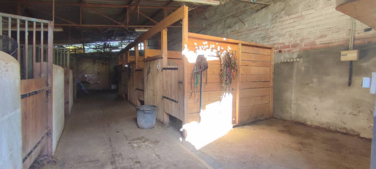 Cuadra de propietarios En venta Allier