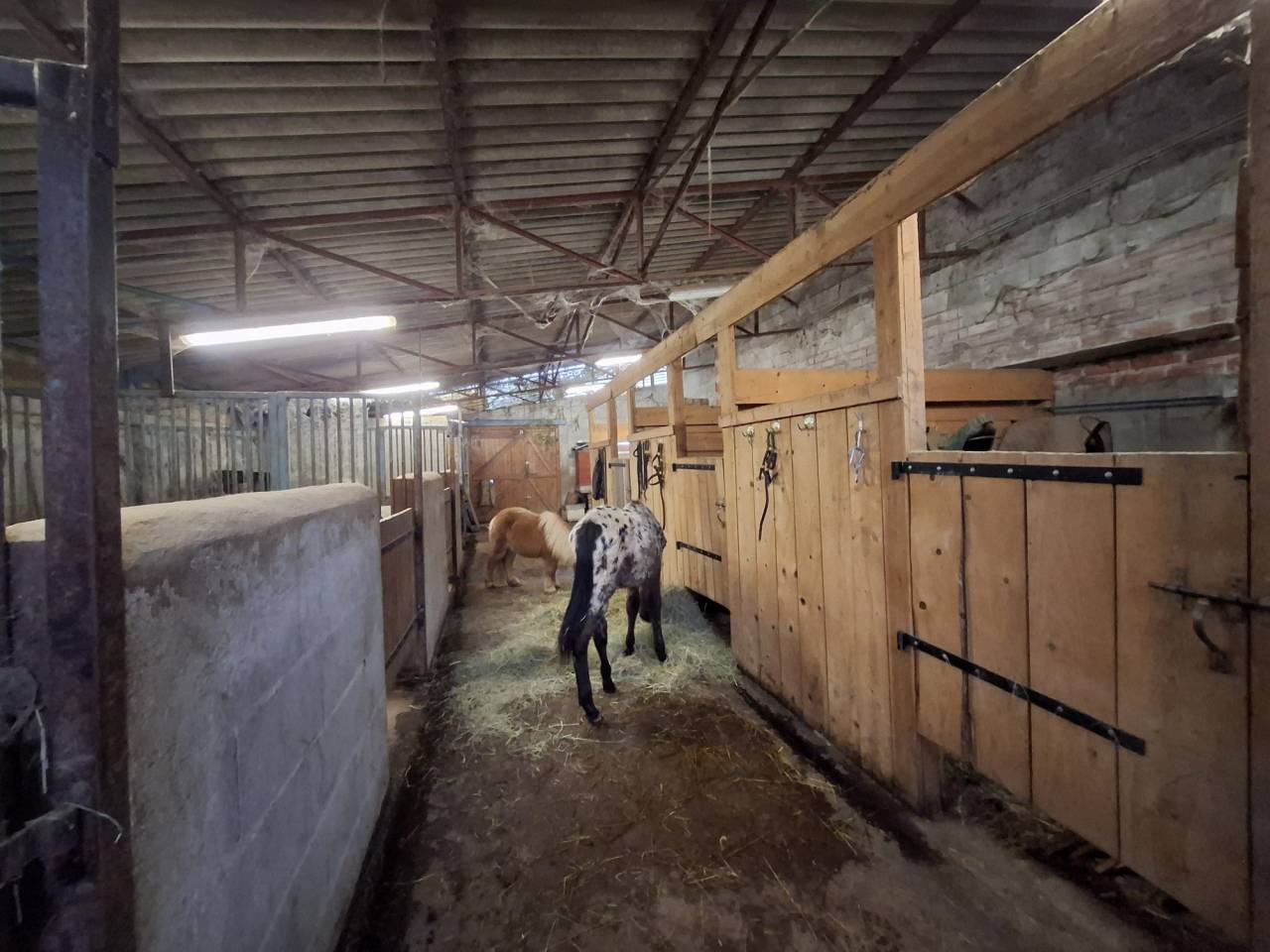 Cuadra de propietarios En venta Allier