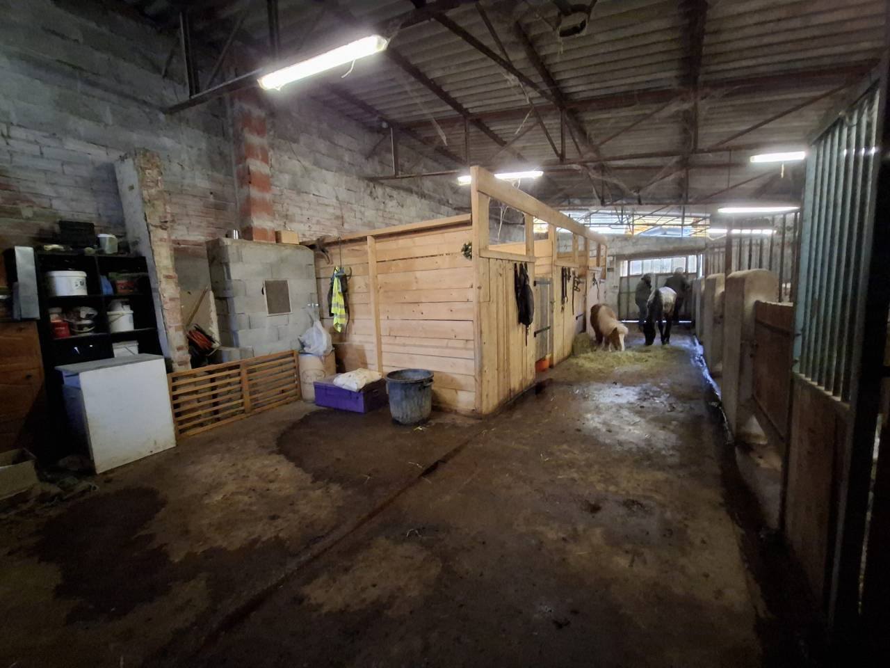 Cuadra de propietarios En venta Allier