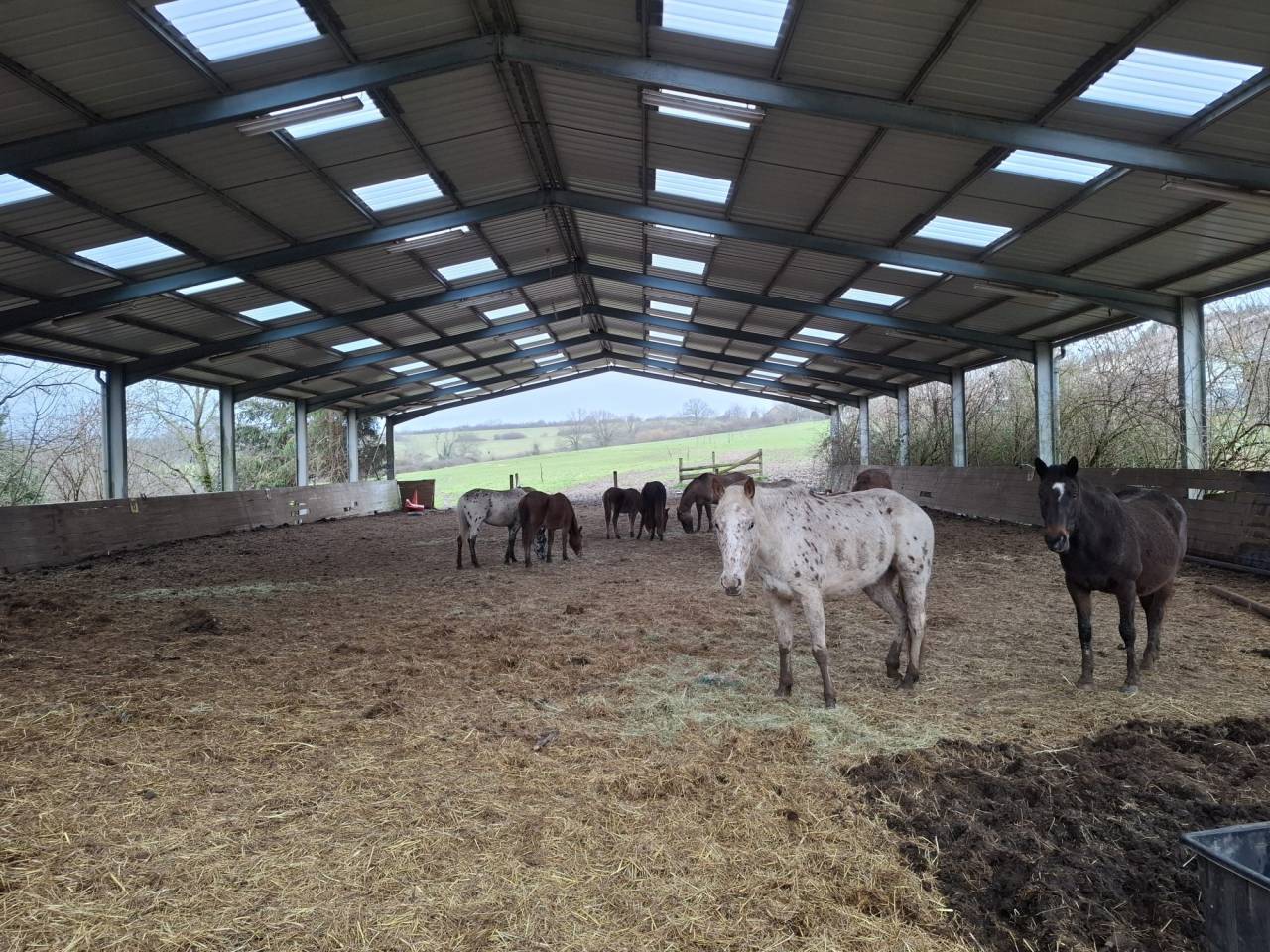 Cuadra de propietarios En venta Allier