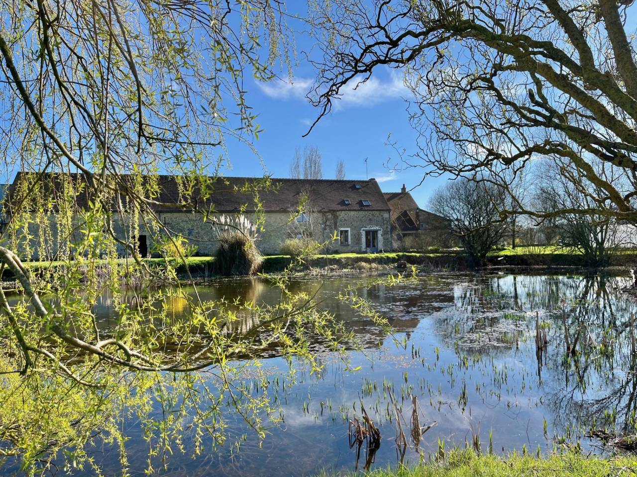 Propiedad ecuestre En venta Orne