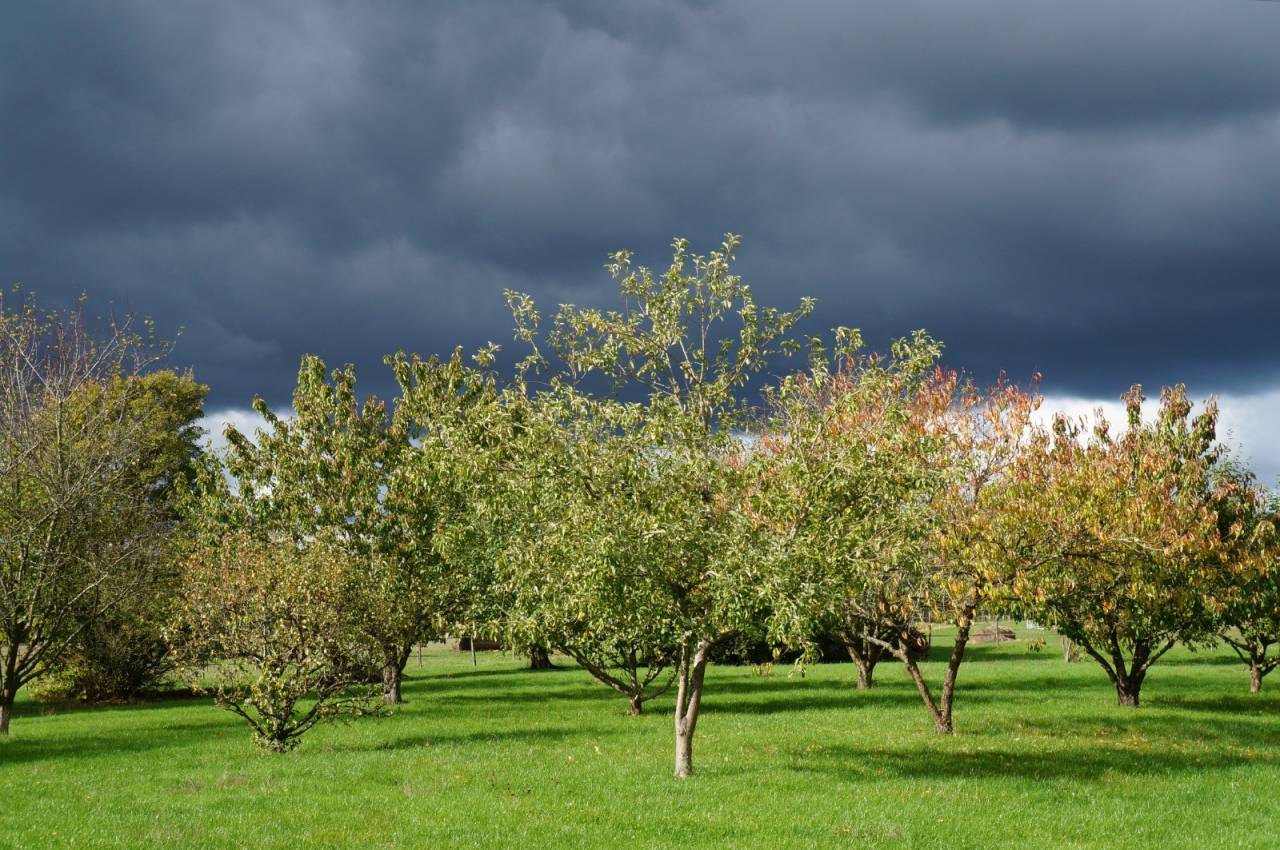 Propiedad ecuestre En venta Orne