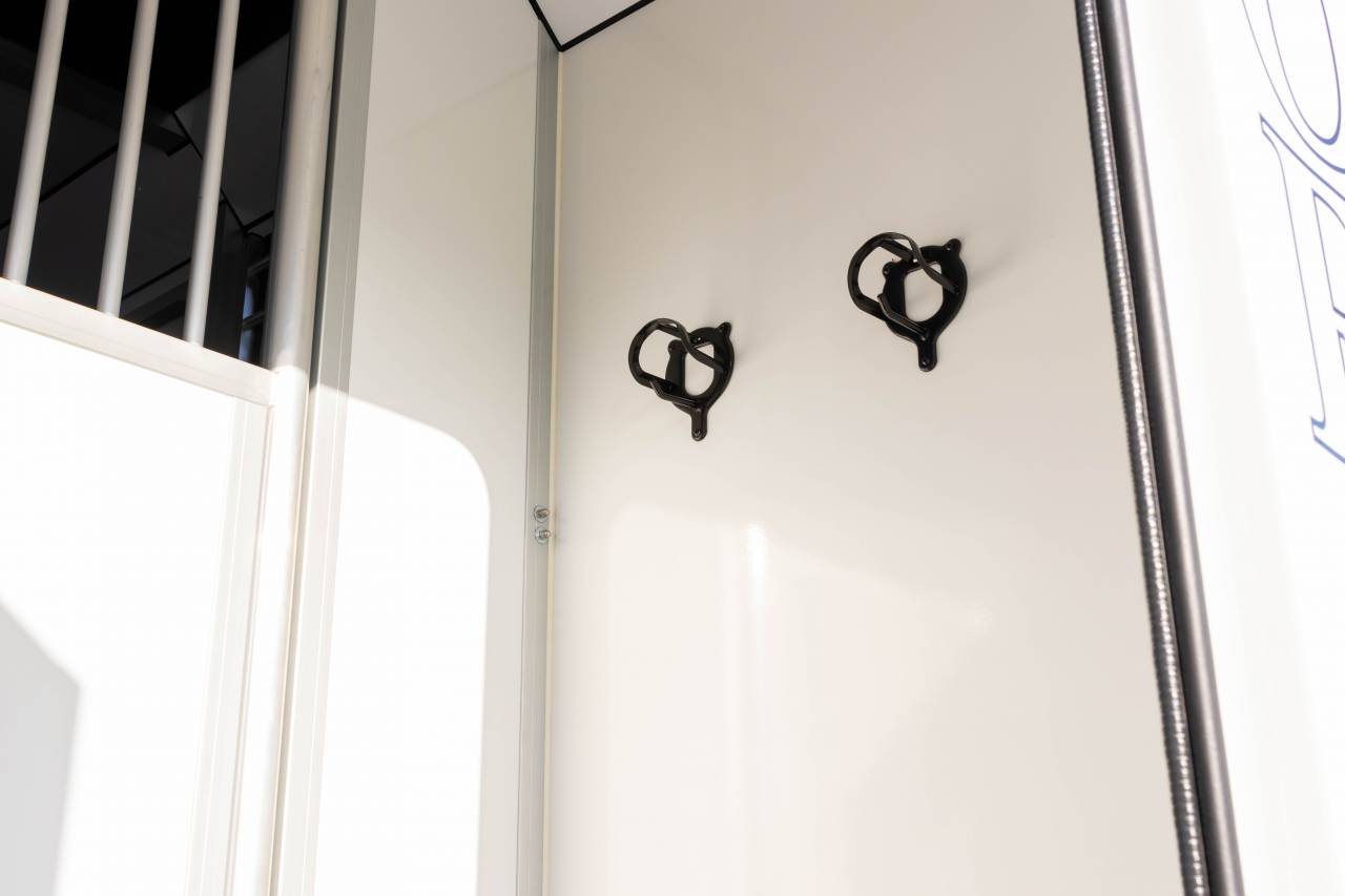 Furgoneta para caballos Fiat  FIAT DUCATO 2016 De segunda mano