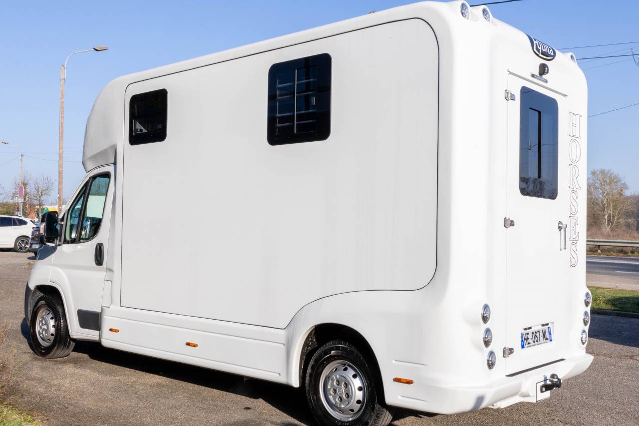 Furgoneta para caballos Fiat  FIAT DUCATO 2016 De segunda mano