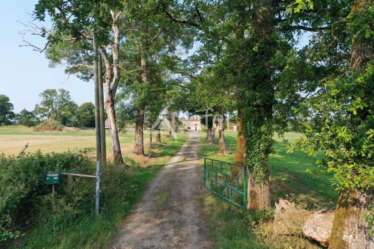 Explotaci&oacute;n agr&iacute;cola En venta Vienne