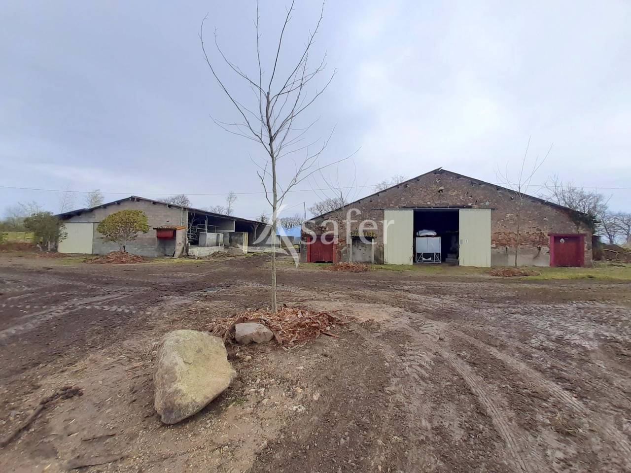 Explotaci&oacute;n agr&iacute;cola En venta Vienne