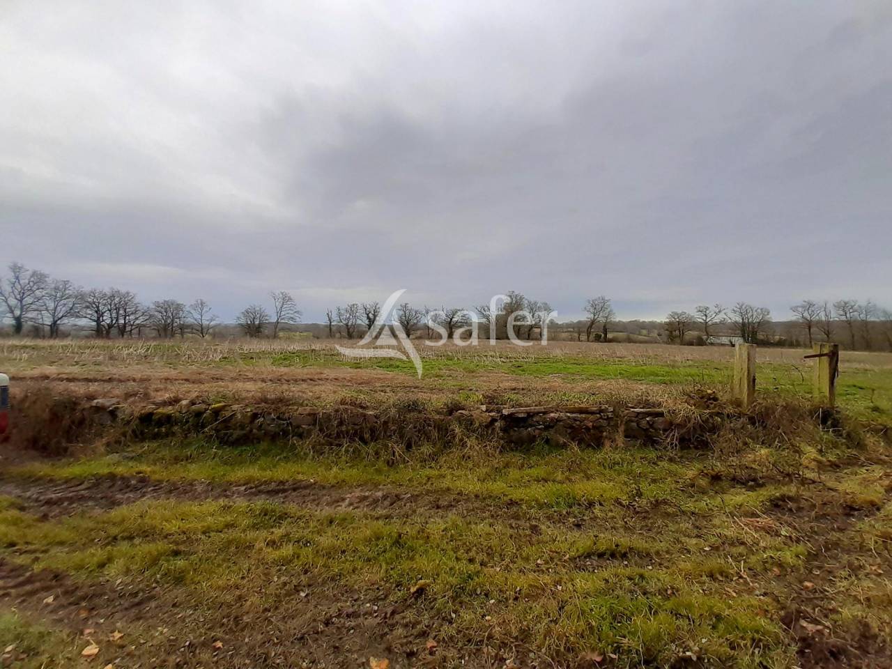 Explotaci&oacute;n agr&iacute;cola En venta Vienne